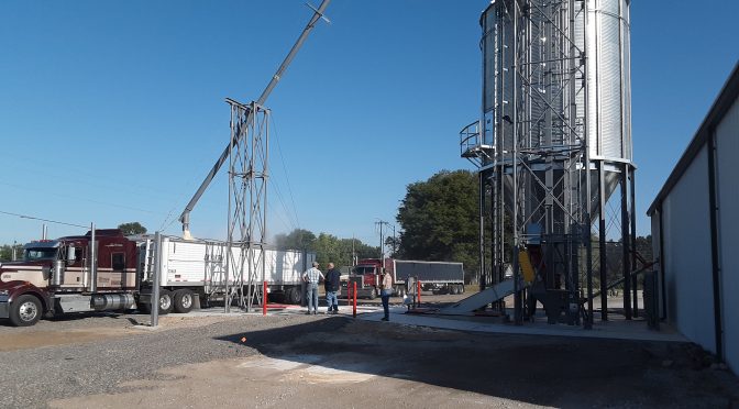 GRAINZYME Phytase corn in hopper bottom truck, getting ready to deliver to poultry operations in North Carolina